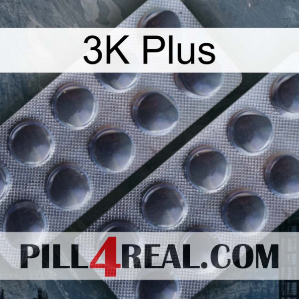 3K Plus 31